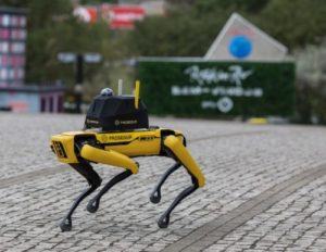 Robot bezpieczeństwa